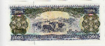 Beschrijving achterzijde: COWS